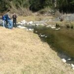 Nestor Cada Detalle Esta Pensado Para Ofrecerte Una Cabana El Druida