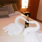 Ofrecerte experiencia unica lodge cuenta hotel